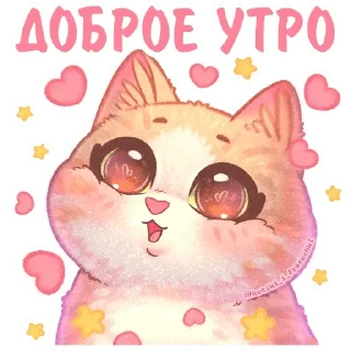 🩵 emoji Котики и фразочки: @Pea4_stickerbot Telegram sticker 18 of 35