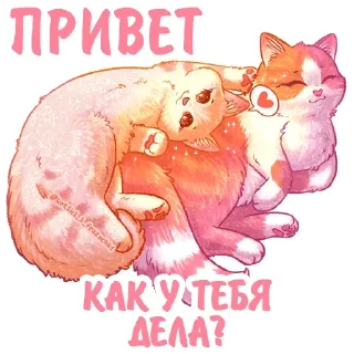 💛 emoji Котики и фразочки: @Pea4_stickerbot Telegram sticker 16 of 35