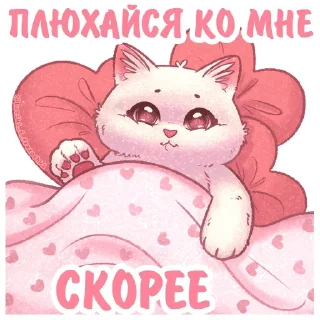 🛌 emoji Котики и фразочки: @Pea4_stickerbot Telegram sticker 24 of 35