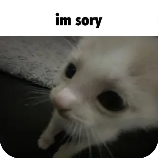 :3 sticker 1
