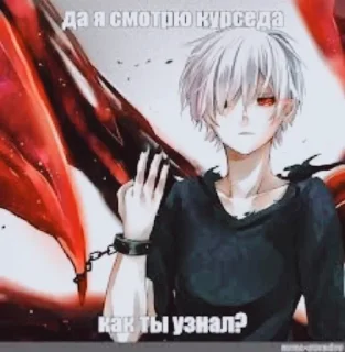 Sticker from я выебал курседа