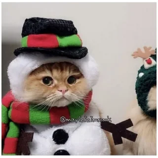 Sticker from 🎄☃️новый год☃️🎄 (@emopix)