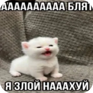 Sticker from Котэйки ( @Izuku_Midoriya15_07