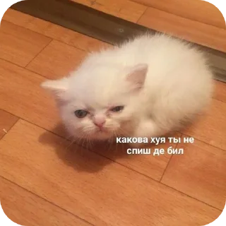 Sticker from Котэйки ( @Izuku_Midoriya15_07