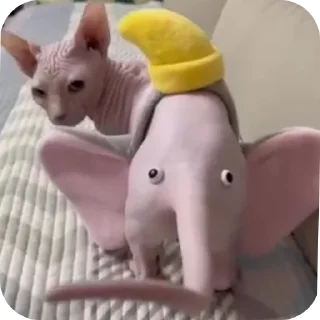 📦 emoji Коты Telegram sticker 18 of 28
