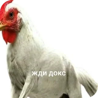 Sticker from Жди кокс