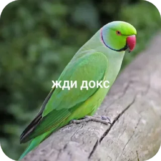 Sticker from Жди докс