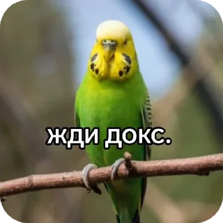 Sticker from Жди докс