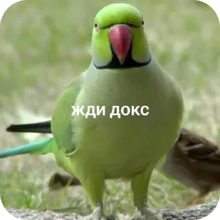 Sticker from Жди докс