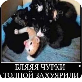 Меми :: @SevenShadows_Delta sticker 2