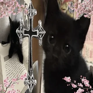 Sticker from ✰ 𝕞𝕖𝕠𝕨 𝕞𝕖𝕠𝕨𝕤 ✰