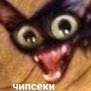 😝 emoji мемы Telegram sticker 7 of 29
