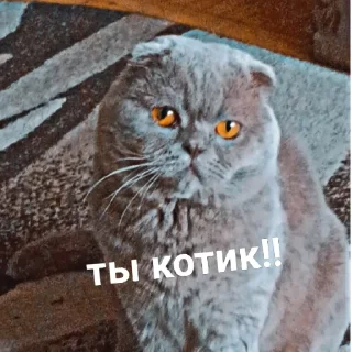 😍 emoji мемы Telegram sticker 13 of 29