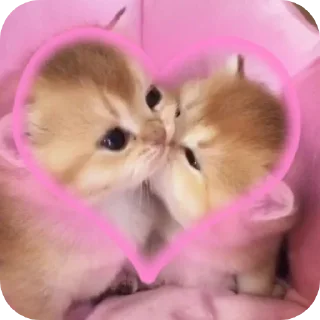Sticker from ★cat★