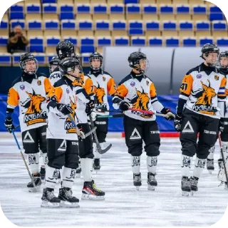 ❤ emoji Kuzbass Hockey❤️‍🔥🫂 @Masha7361 Telegram sticker 8 of 57