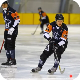 🏅 emoji Kuzbass Hockey❤️‍🔥🫂 @Masha7361 Telegram sticker 11 of 57