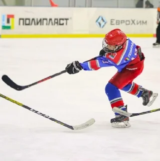 Sticker from ☆hockey okay☆