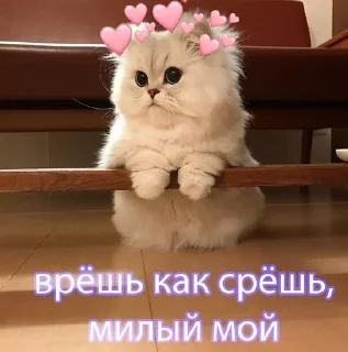 ❤️ emoji Стикеры @stickrubot @textmeru_bot Telegram sticker 14 of 39