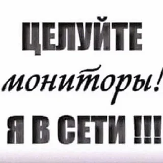 Sticker from флаккершай халяль