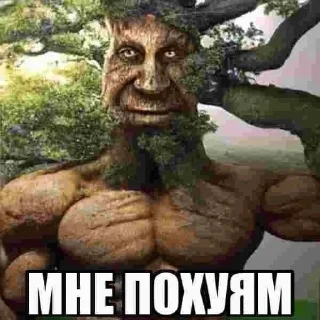 Sticker from Деревянная хуйня