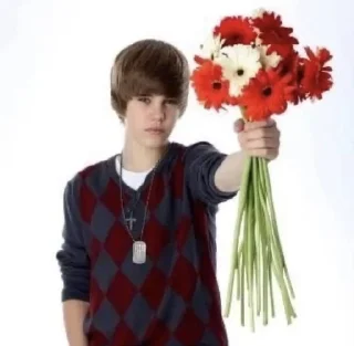 🌟 emoji Justin Bieber Telegram sticker 16 of 23