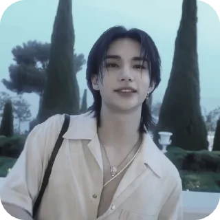 Sticker from ` hyunjin / skz @njisstickers