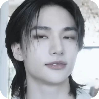 Sticker from ` hyunjin / skz @njisstickers