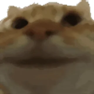 ✅ emoji Свинство🐖🤙🤙 — @stckrRobot Telegram sticker 20 of 64