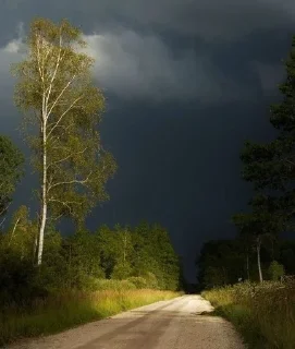 🌩 emoji лето в деревне Telegram sticker 19 of 57