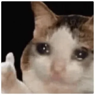 🥺 emoji @Resulun @SiriUserBot Paketi 1 Telegram sticker 3 of 51