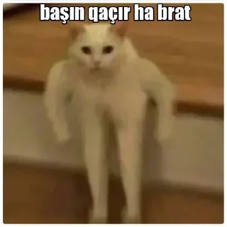 😡 emoji @Resulun @SiriUserBot Paketi 1 Telegram sticker 4 of 51