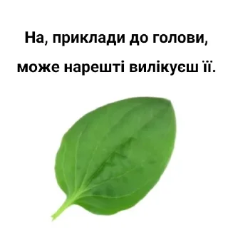 😐 emoji Куку-Йоптівка | @KukuYoptivka_info Telegram sticker 7 of 106