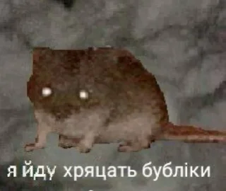 Sticker from AVSH meme @TgEmodziBot