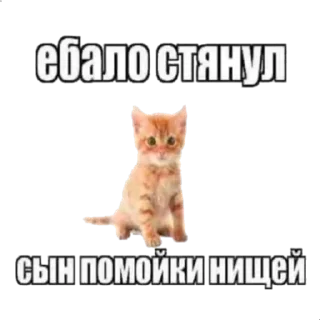Sticker from Хуйня