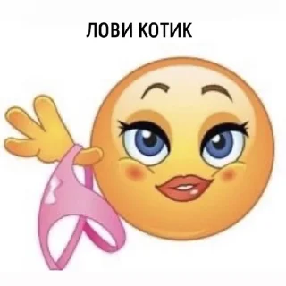 mintalinka sticker 1
