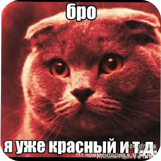 Sticker from Втф @KezNL