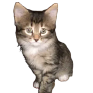 Sticker from Olegg42 sticker pack
