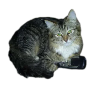 Sticker from Olegg42 sticker pack