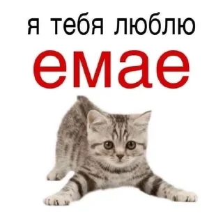 🌟 emoji Ми ми ми Telegram sticker 23 of 69