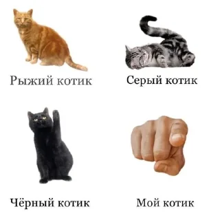 🌟 emoji Ми ми ми Telegram sticker 7 of 69