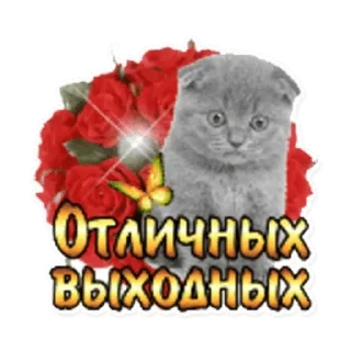 😨 emoji x x x — @stckrRobot Telegram sticker 11 of 37