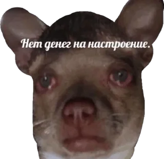 ☹️ emoji x x x — @stckrRobot Telegram sticker 18 of 37