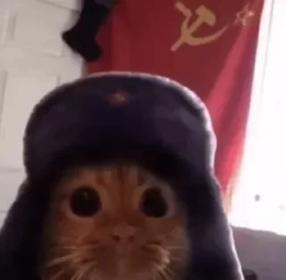 Sticker from Я ебу собак