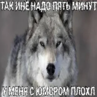 Sticker from Я ебу собак