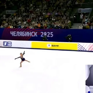 🌟 emoji Костылева,токката и что то там Telegram sticker 6 of 26