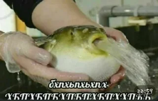 Sticker from Что-то :|