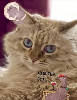 🌟 emoji Сися 2 Telegram sticker 5 of 97