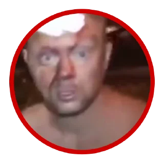 Sticker from Video Memes › @evaqplan