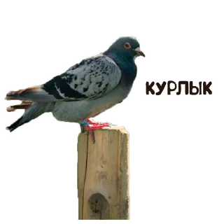 Sticker from Дед