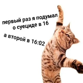 твои сохранки by @vatka2005 sticker 2